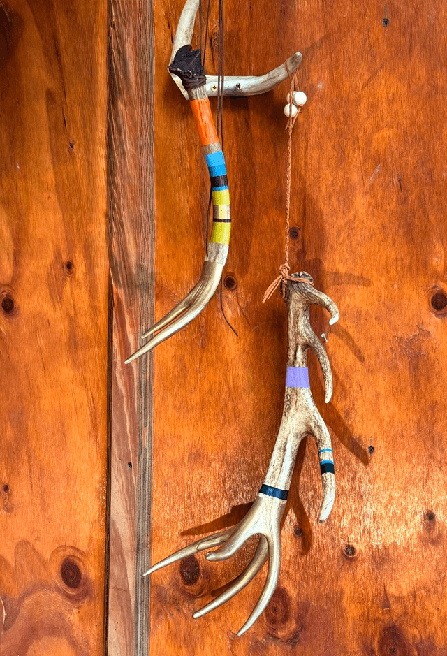 Painted Antlers