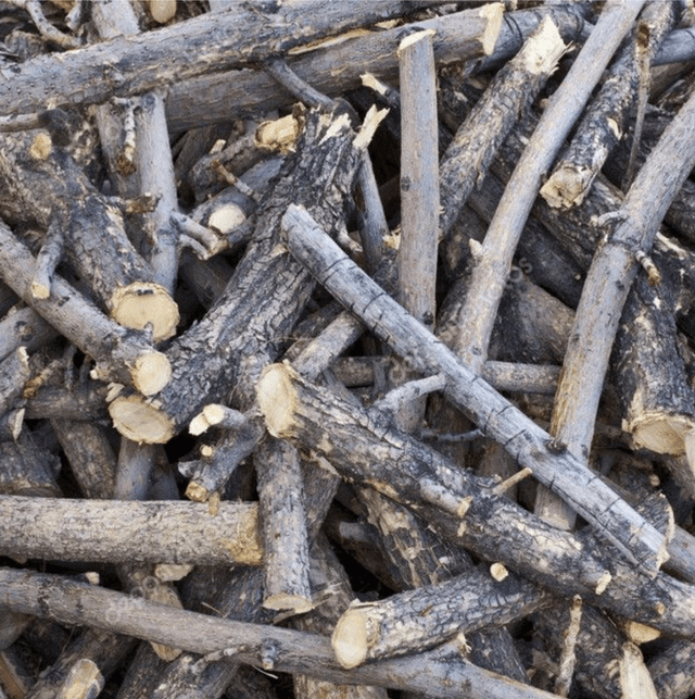 Sack of Kindling