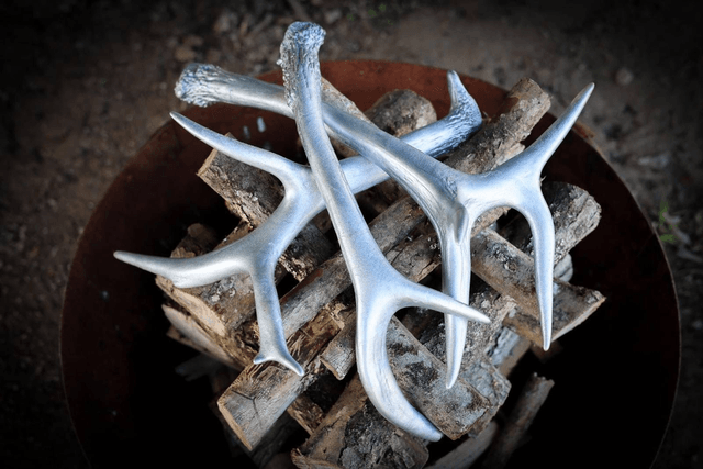 Spray Painted Antler Table Decor - Silver 2 points