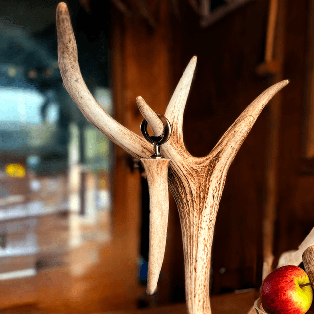 Antler handle bottle opener