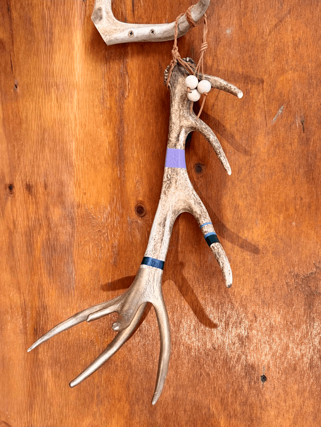 Painted Antlers