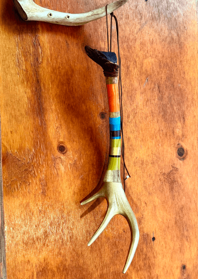 Painted Antlers